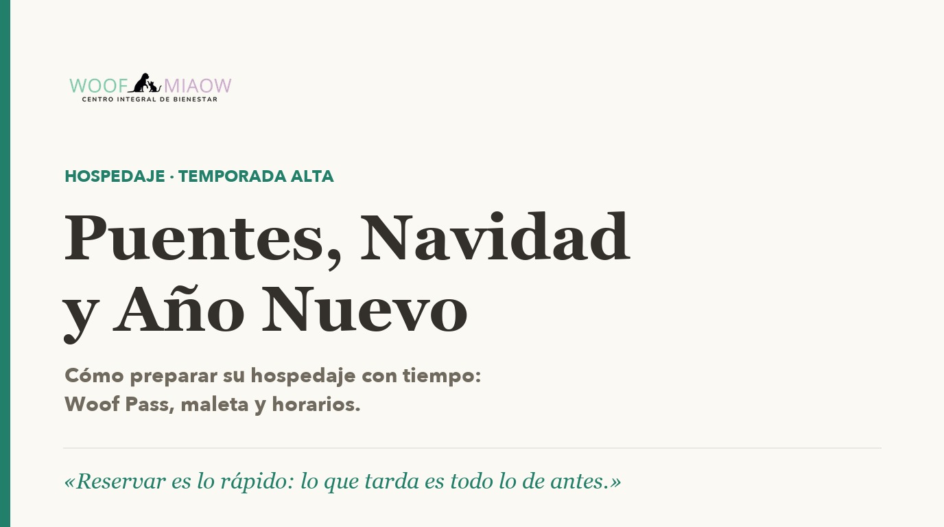Puentes, Navidad y Año Nuevo: cómo preparar el hospedaje de tu perrito con tiempo