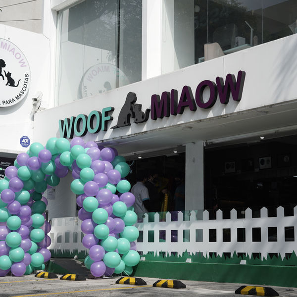 La comunidad Woof Miaow